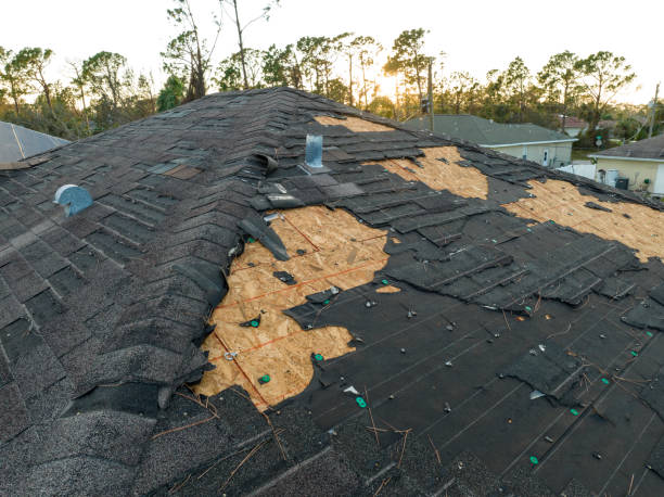 Best Asphalt Shingle Roofing  in Four Bridges, OH