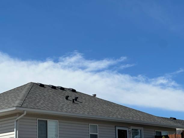 Best Roof Moss and Algae Removal  in Four Bridges, OH